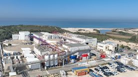 צילום: אבי אריש